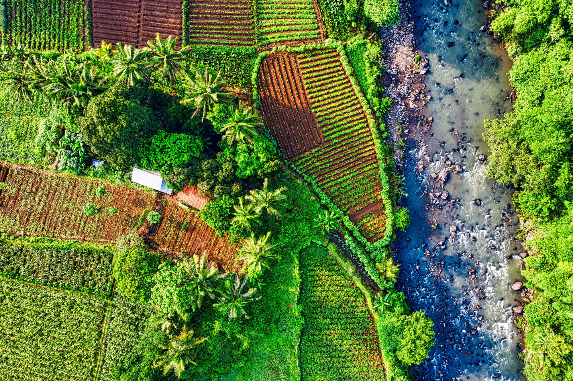 Sustainable Agriculture in a Changing Climate