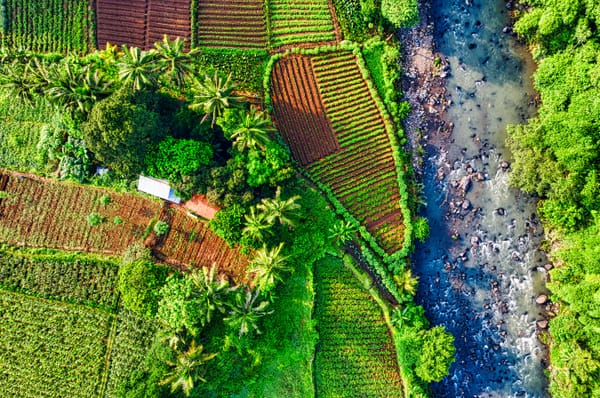 Sustainable Agriculture in a Changing Climate