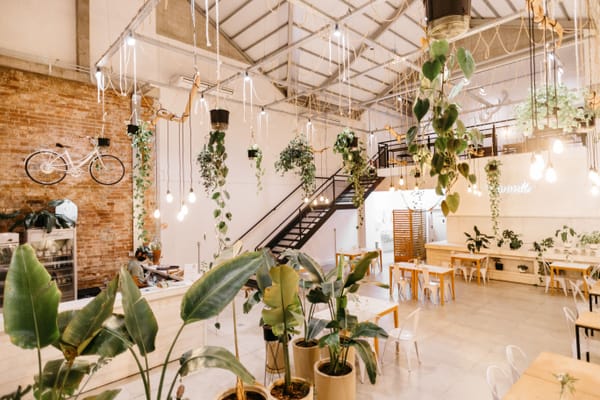 The Future of Sustainable Interiors: Where Design Meets Innovation
